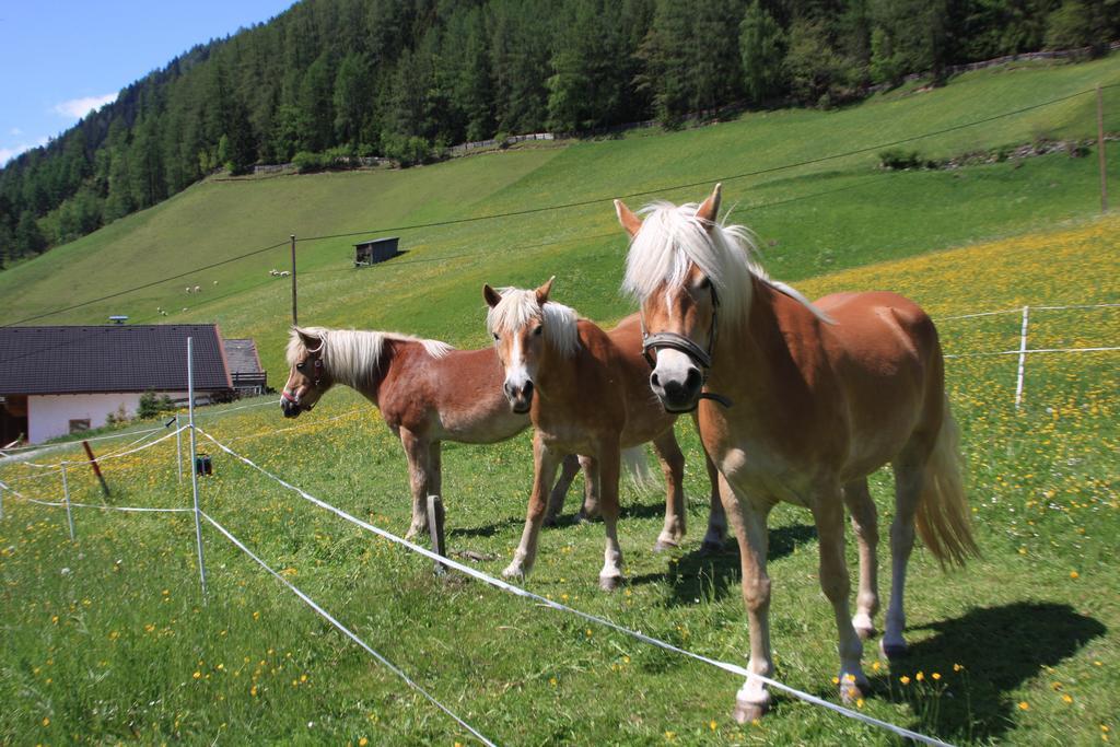 Omesbergerhof Villa Neustift im Stubaital Luaran gambar